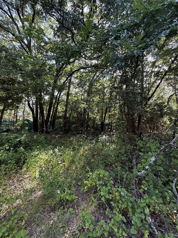 00 County Road 3605 Property Photo 10