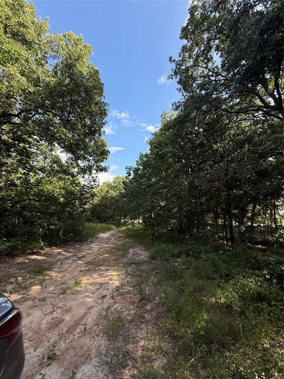 00 County Road 3605 Property Photo 12