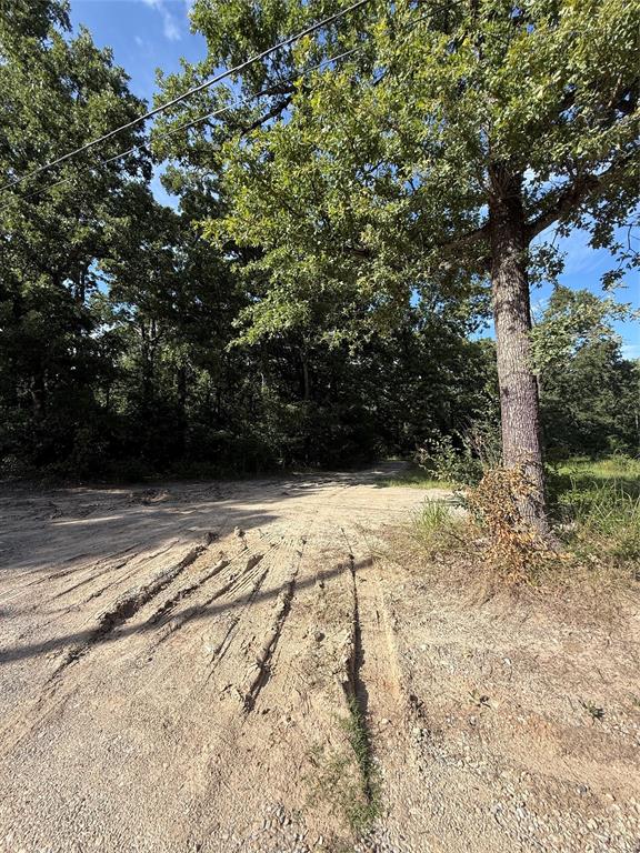 00 County Road 3605 Property Photo 13