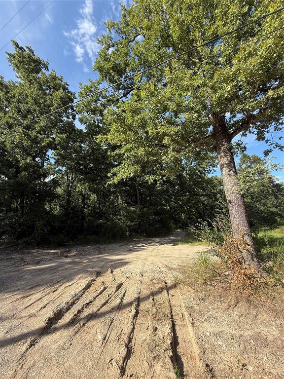 00 County Road 3605 Property Photo 15