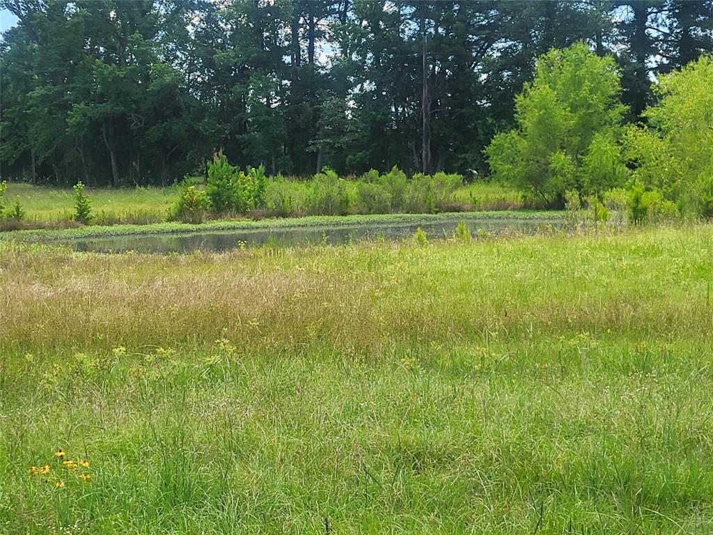 123456 Cr 3121 Property Photo 3
