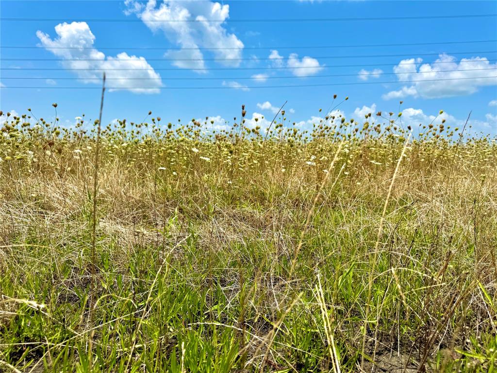 Lot 8 Cr-590 Property Photo 1