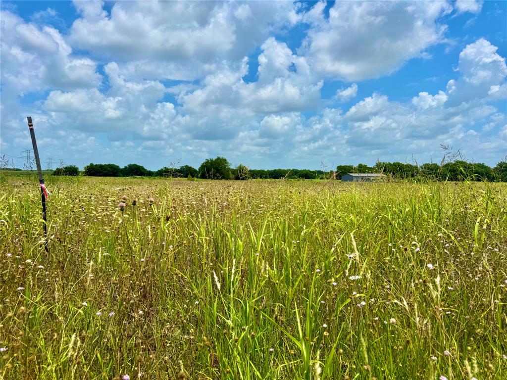 Lot 8 Cr-590 Property Photo 5
