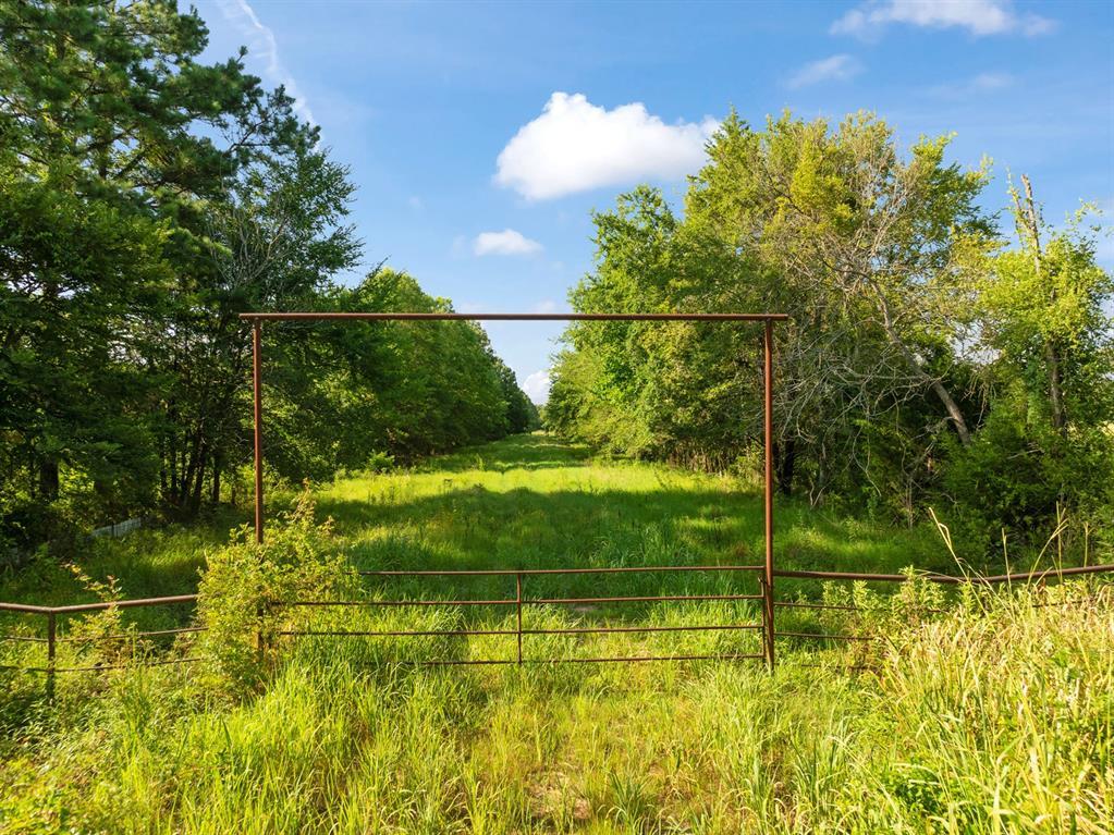 259 County Road 44880 Property Photo 4
