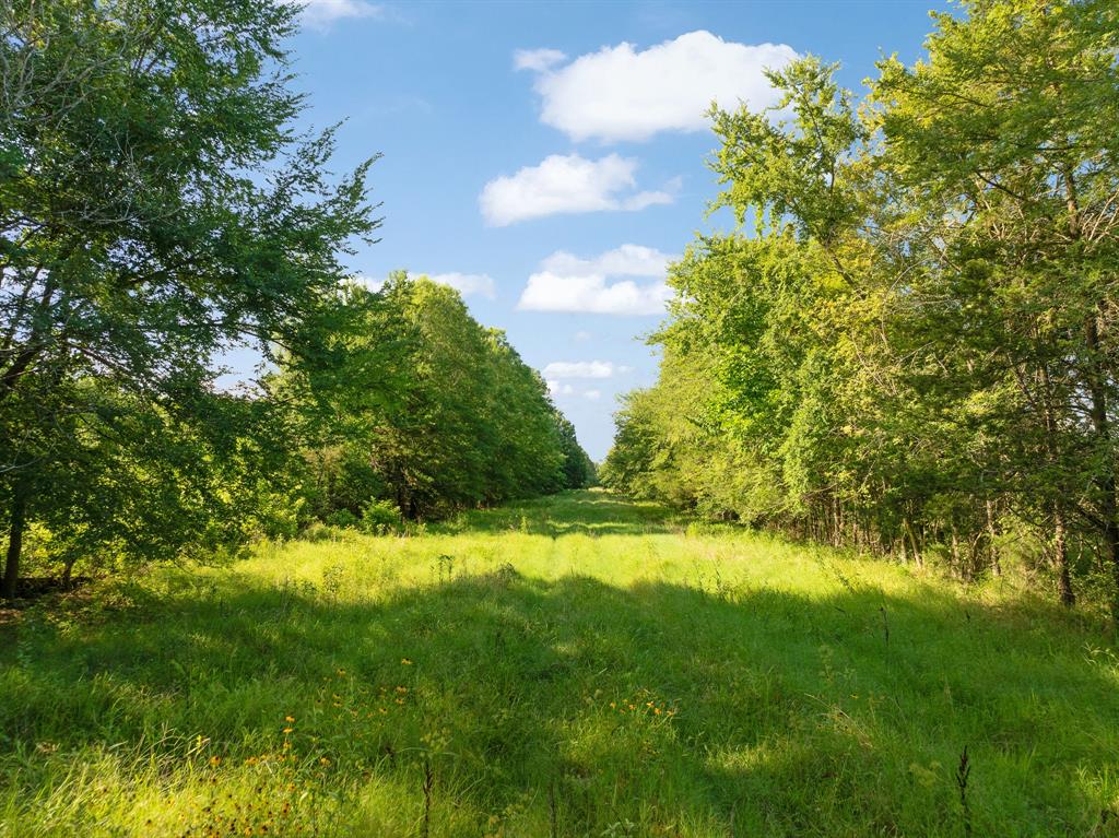 259 County Road 44880 Property Photo 10