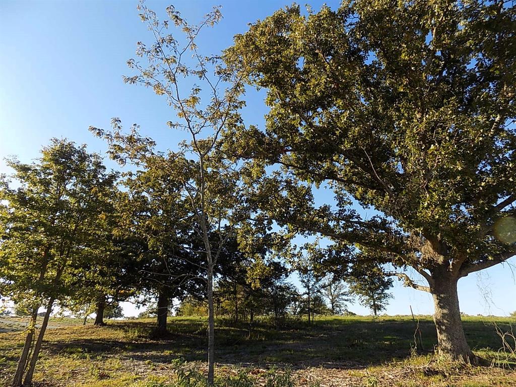 Lot 14 Anglers Point Drive Property Photo 15