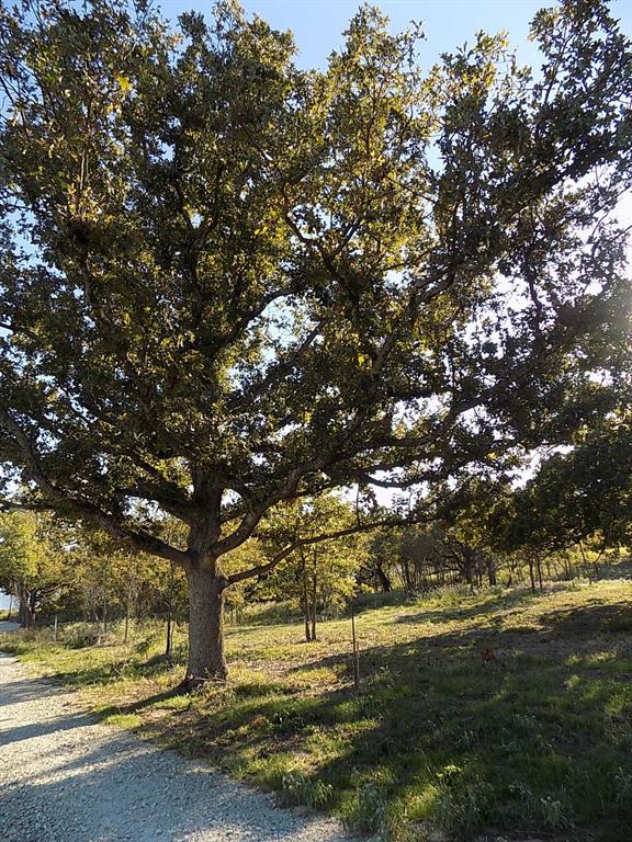 Lot 14 Anglers Point Drive Property Photo 20