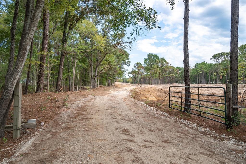 19451 County Road 4307 Road Property Photo 4