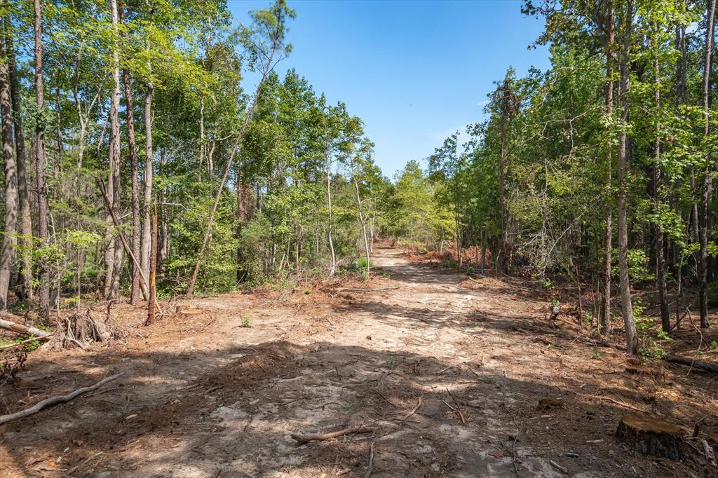 19451 County Road 4307 Road Property Photo 10