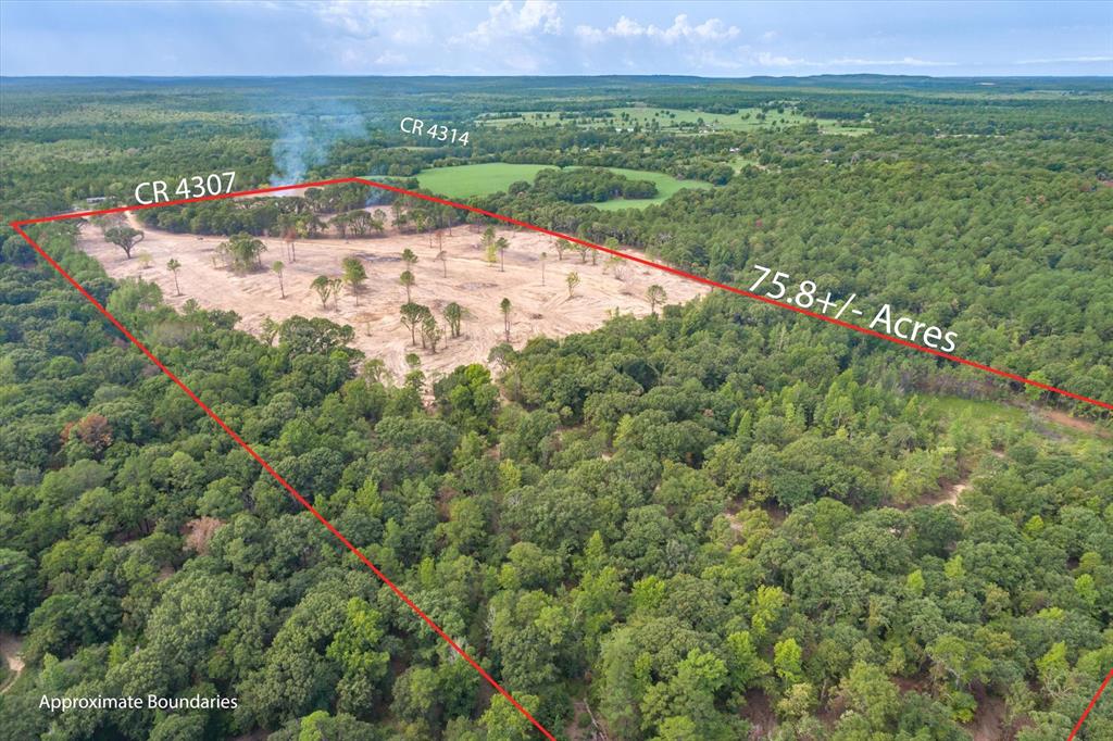 Tract 3 - Tbd County Road 4307 Property Photo 3