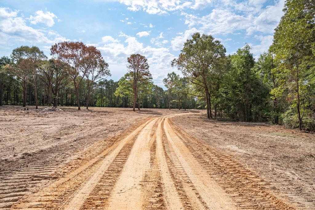 Tract 3 - Tbd County Road 4307 Property Photo 6