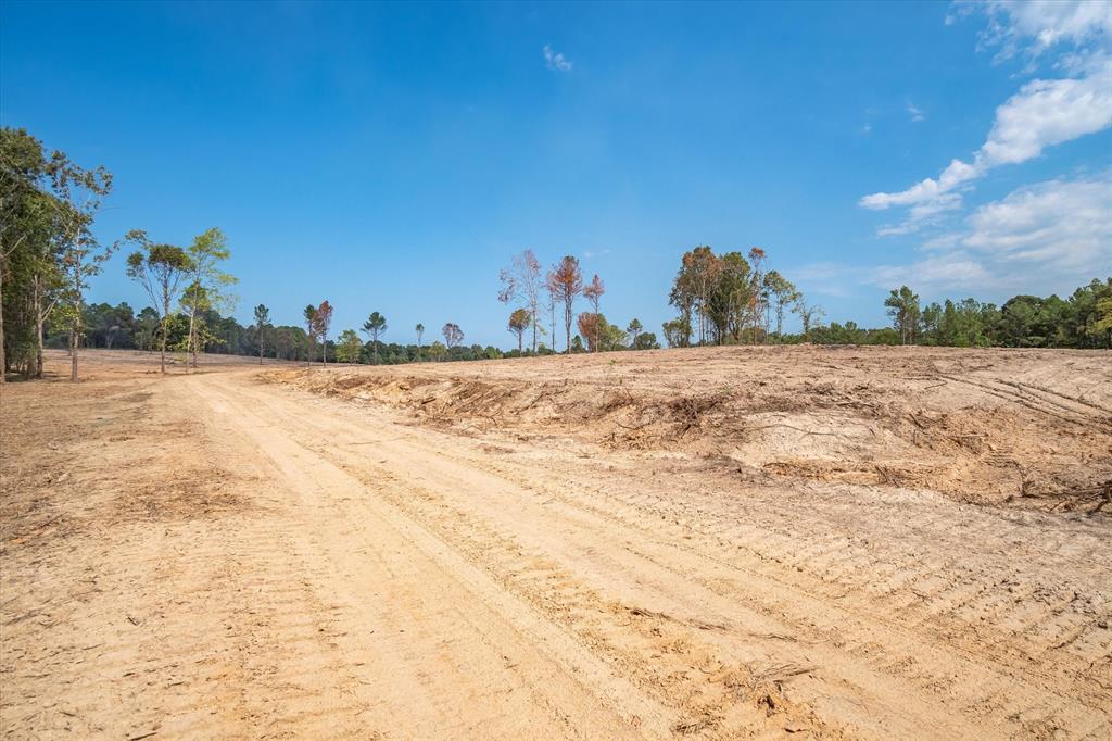 Tract 3 - Tbd County Road 4307 Property Photo 7