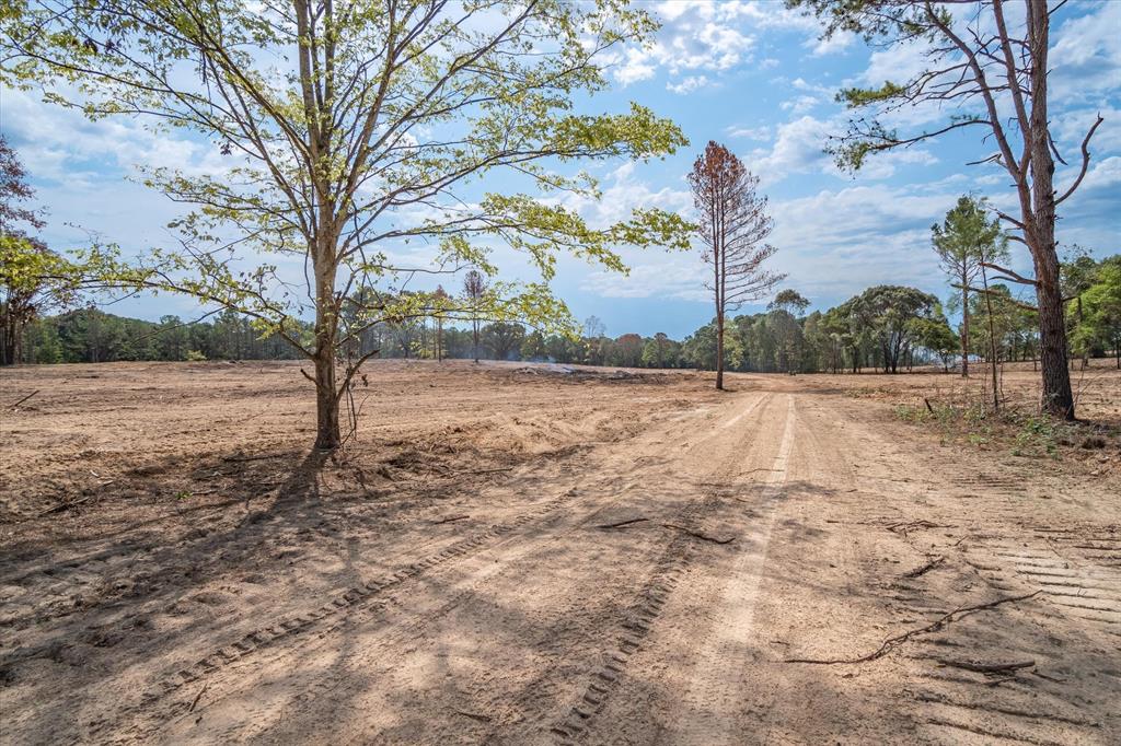Tract 3 - Tbd County Road 4307 Property Photo 8