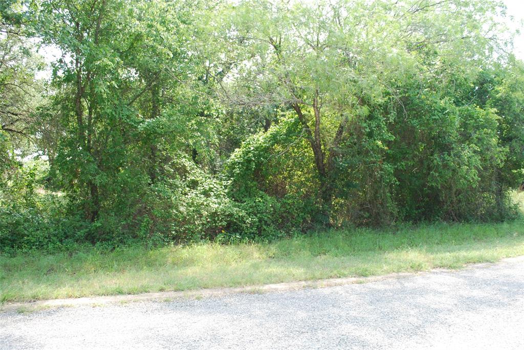 27183 Whispering Meadow Drive Property Photo 2