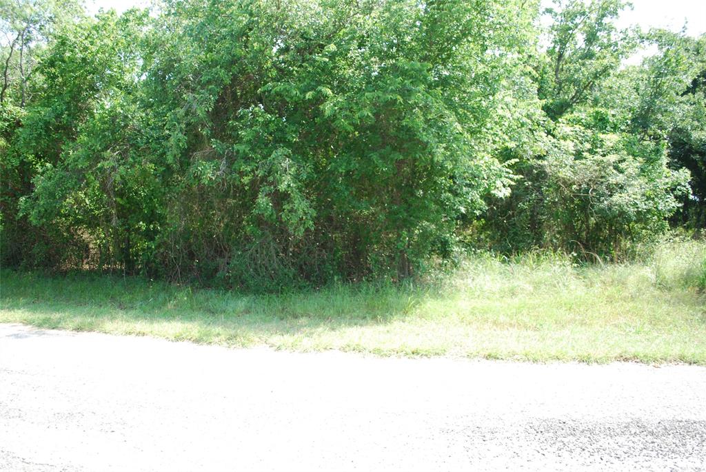 27183 Whispering Meadow Drive Property Photo 3