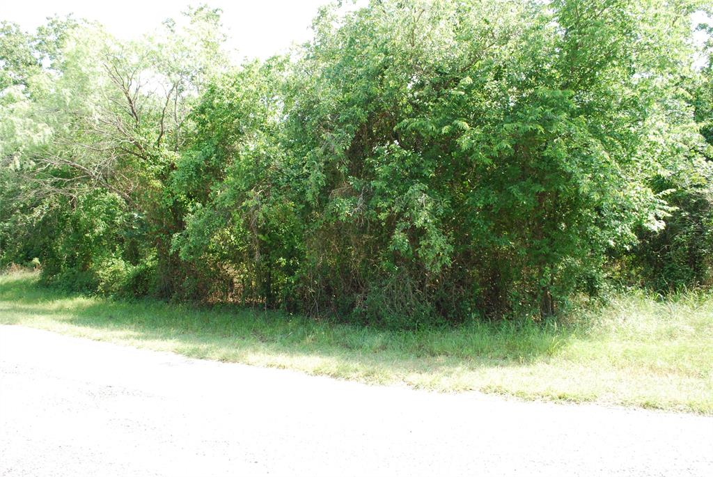 27183 Whispering Meadow Drive Property Photo 4