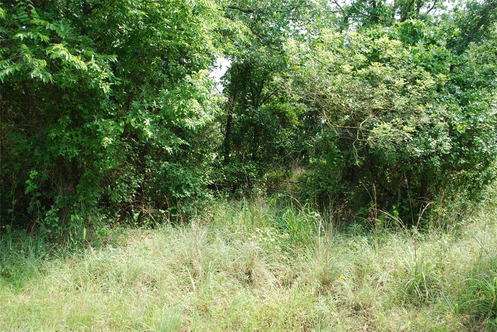 27183 Whispering Meadow Drive Property Photo 5