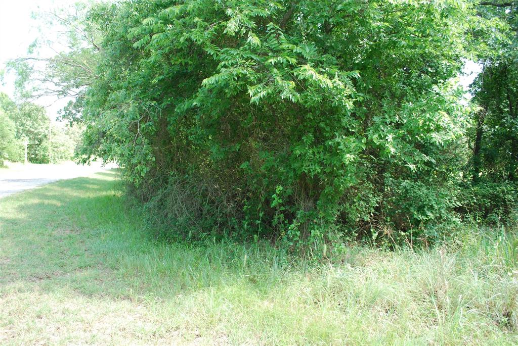 27183 Whispering Meadow Drive Property Photo 6