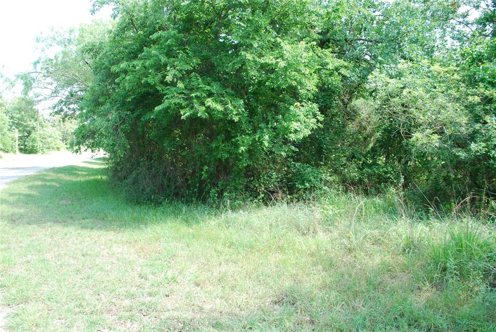 27183 Whispering Meadow Drive Property Photo 8
