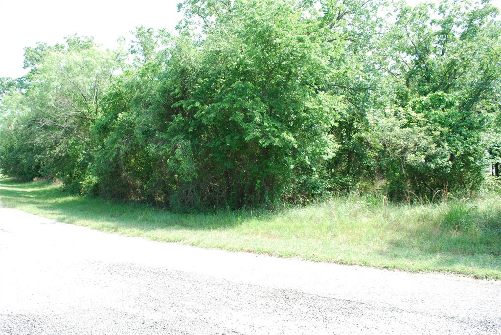 27183 Whispering Meadow Drive Property Photo 9