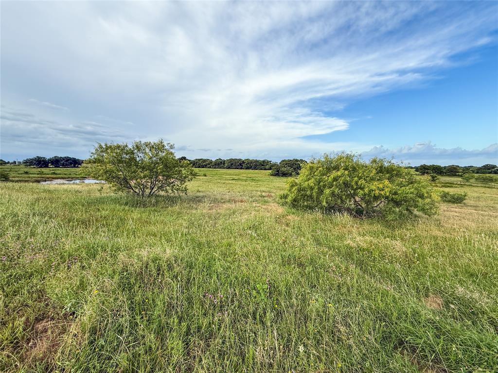 299 County Road 1475 Property Photo 24