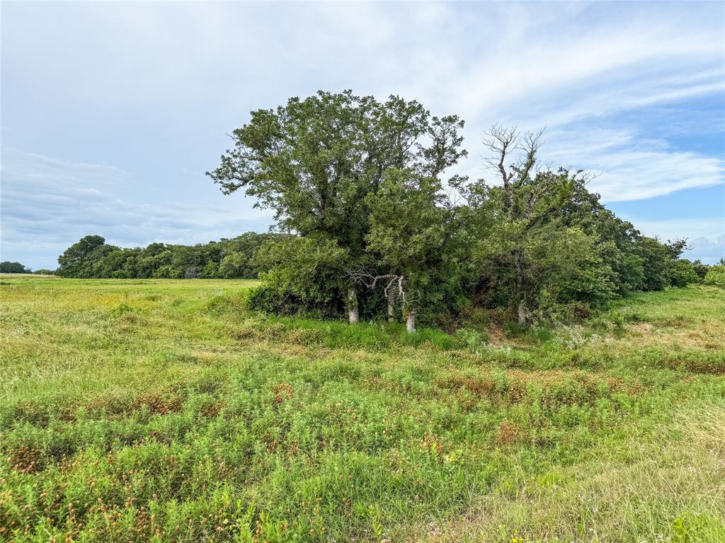 299 County Road 1475 Property Photo 27