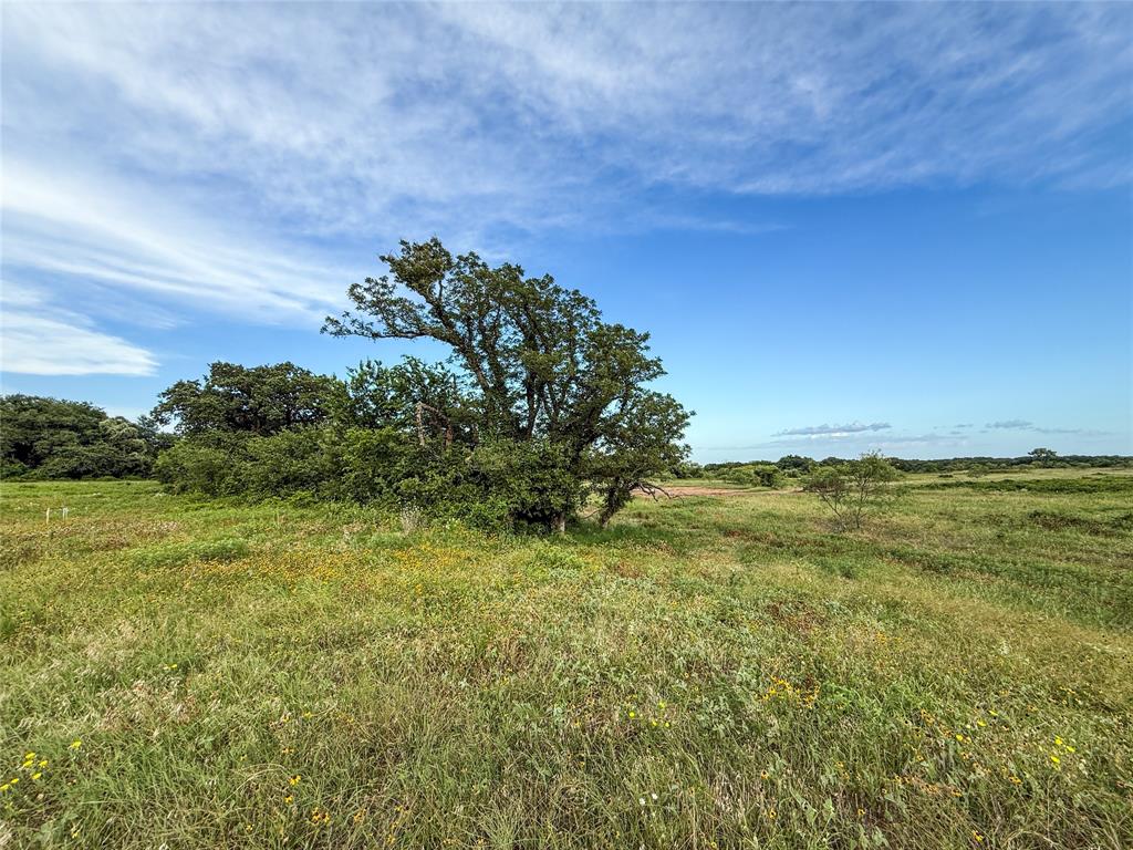 299 County Road 1475 Property Photo 28