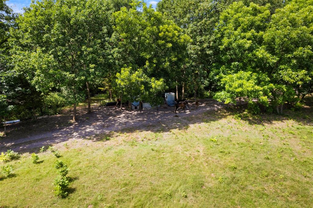 1213 S Houston School Road Property Photo 8