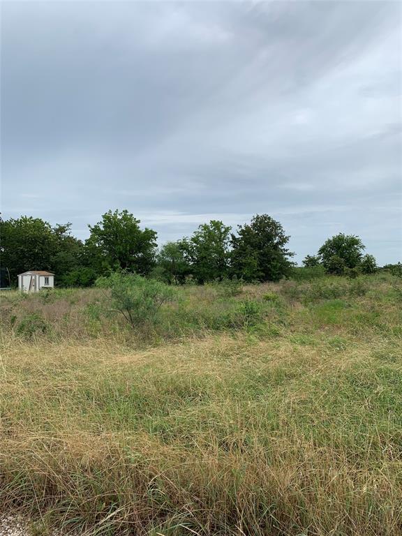 1144 County Road 1660 Property Photo 6