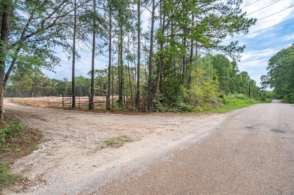 Tract 2 - Tbd County Road 4307 Property Photo 4