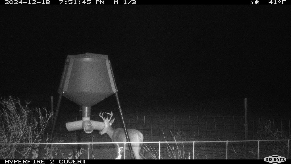 11439 Fm 1602 Property Photo 35
