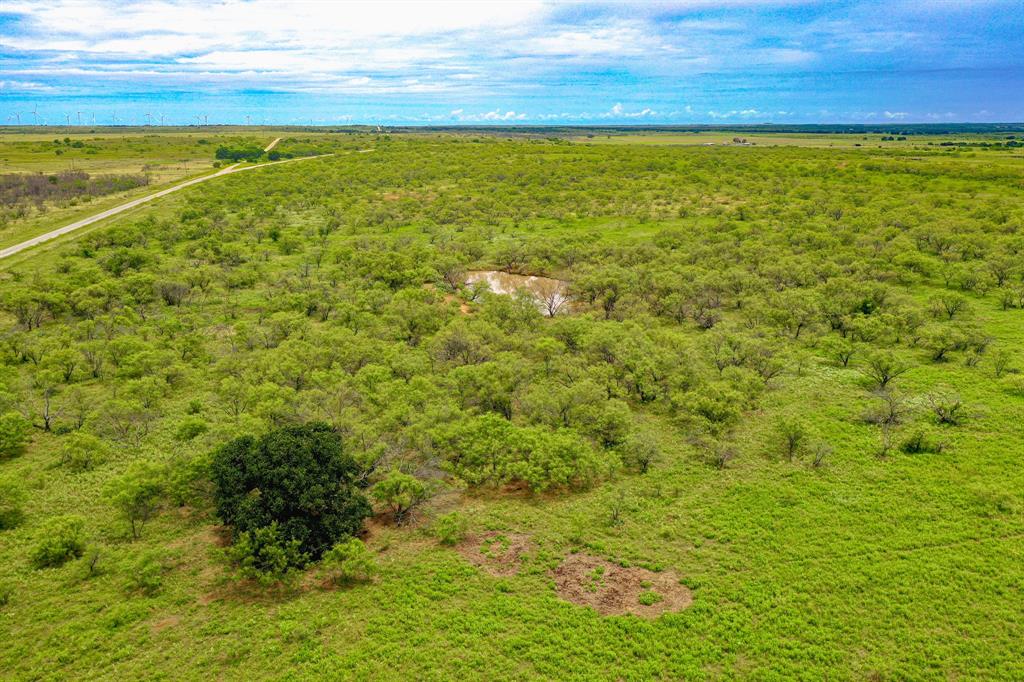 Tbd Fm 175 Property Photo 6