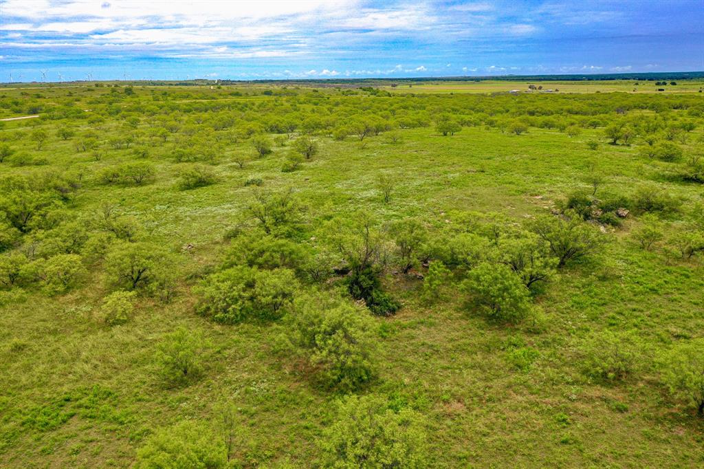 Tbd Fm 175 Property Photo 11