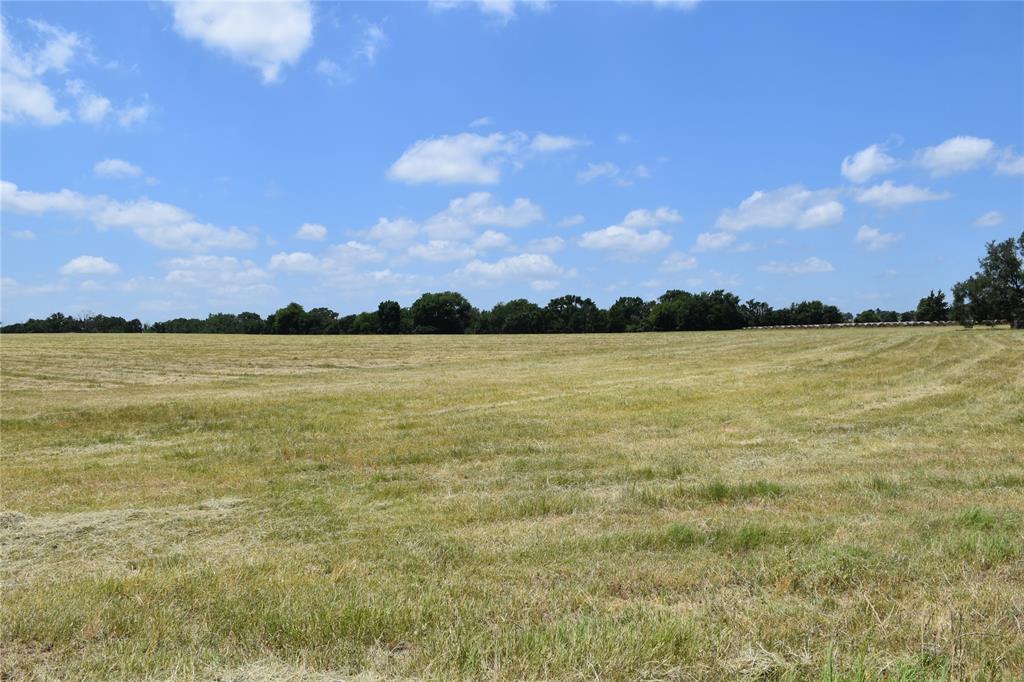 1731 Fm 860 Property Photo 3