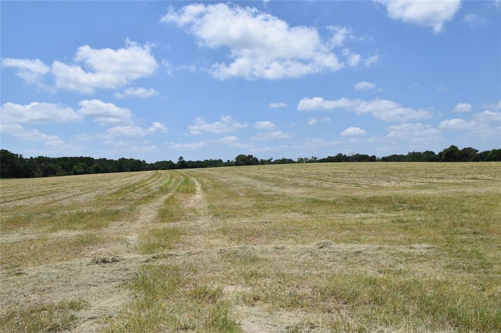 1731 Fm 860 Property Photo 4
