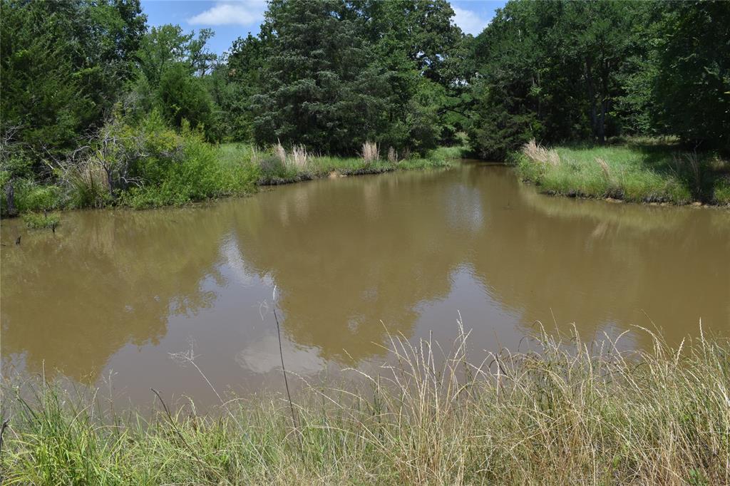 1731 Fm 860 Property Photo 8