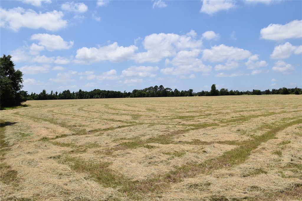 1731 Fm 860 Property Photo 9