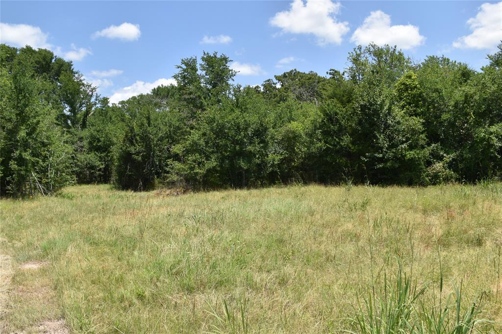 1731 Fm 860 Property Photo 10