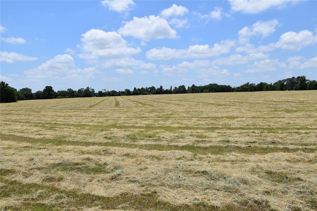 1731 Fm 860 Property Photo 11