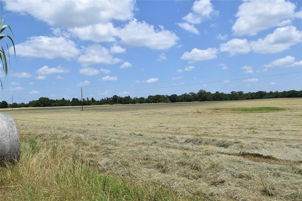 1731 Fm 860 Property Photo 13