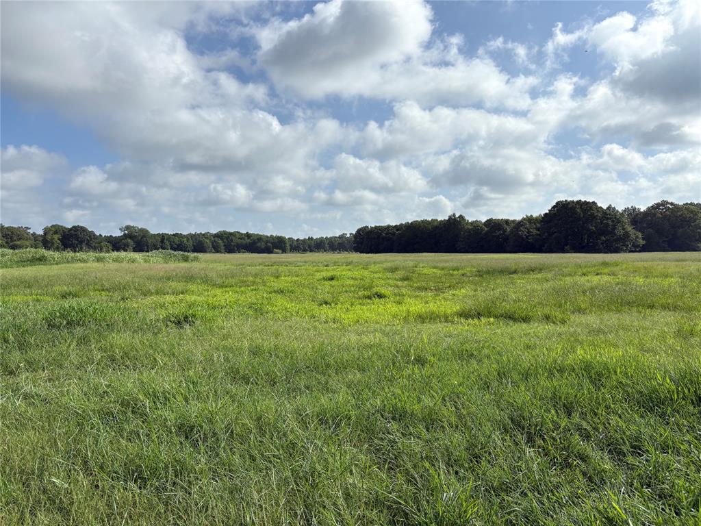 1411 County Road Ne 2120 Tract 1 Property Photo 1