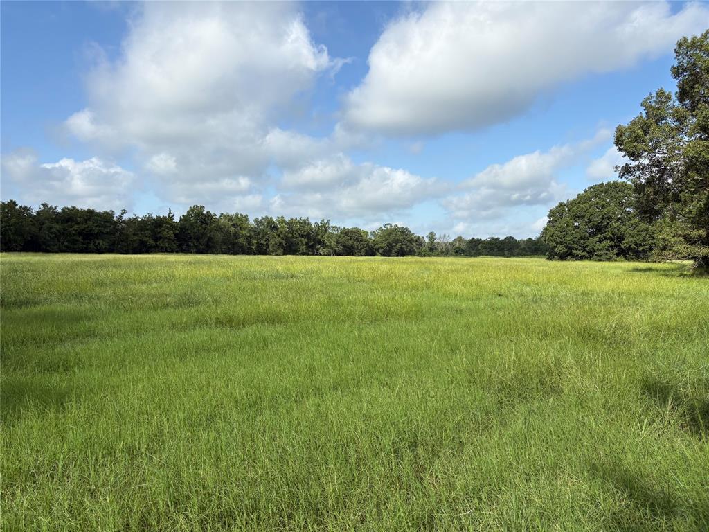 1411 County Road Ne 2120 Tract 1 Property Photo 2