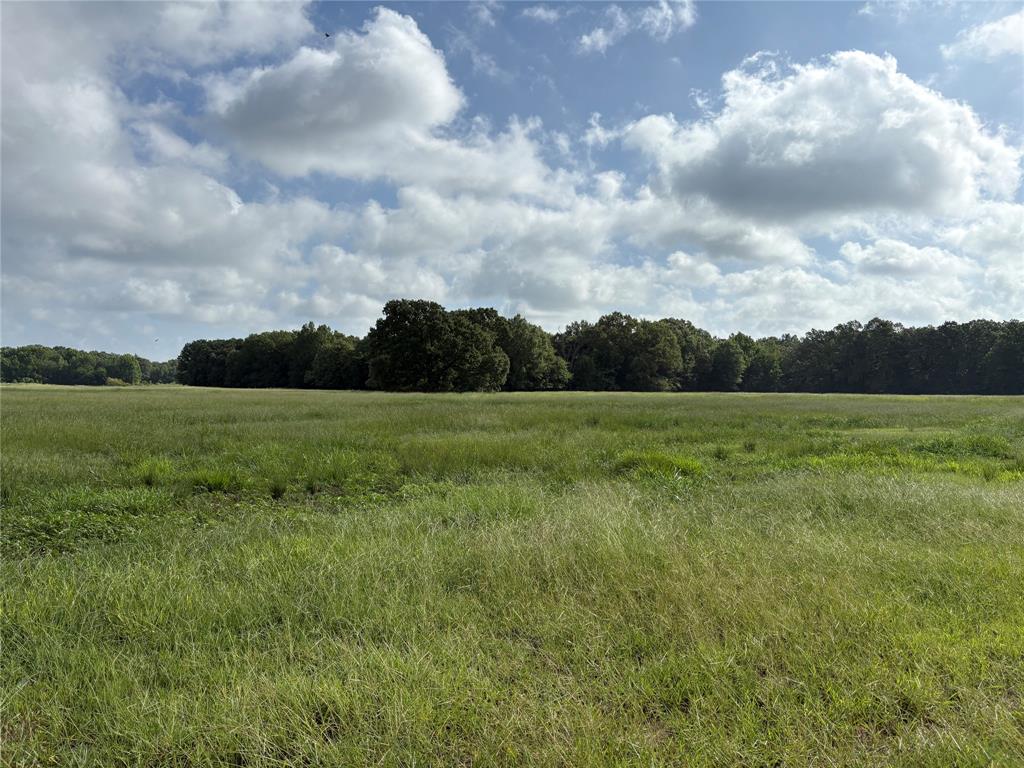 1411 County Road Ne 2120 Tract 1 Property Photo 3