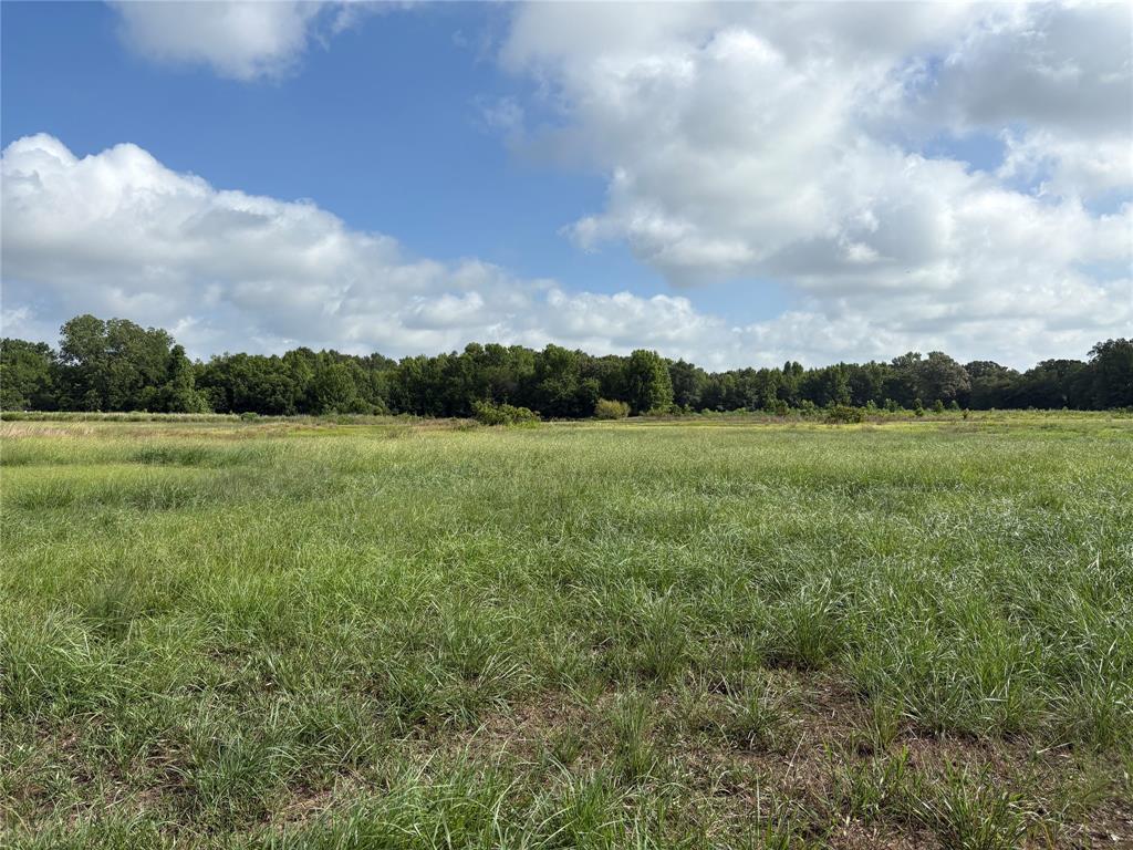1411 County Road Ne 2120 Tract 1 Property Photo 4