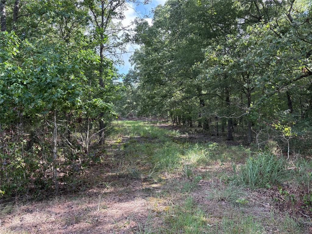 1411 County Road Ne 2120 Tract 1 Property Photo 5