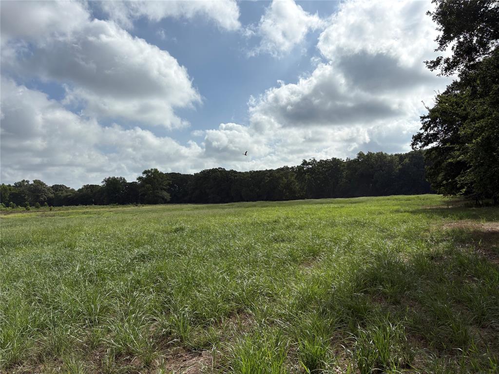 1411 County Road Ne 2120 Tract 1 Property Photo 6