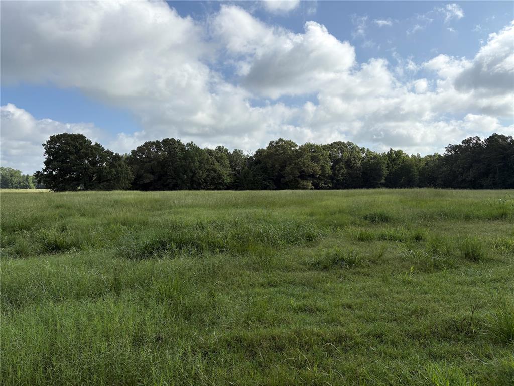1411 County Road Ne 2120 Tract 1 Property Photo 10