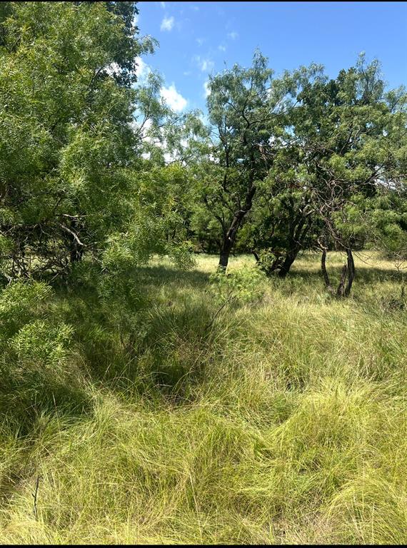 Lot 591 S Lakeside Drive Property Photo 1