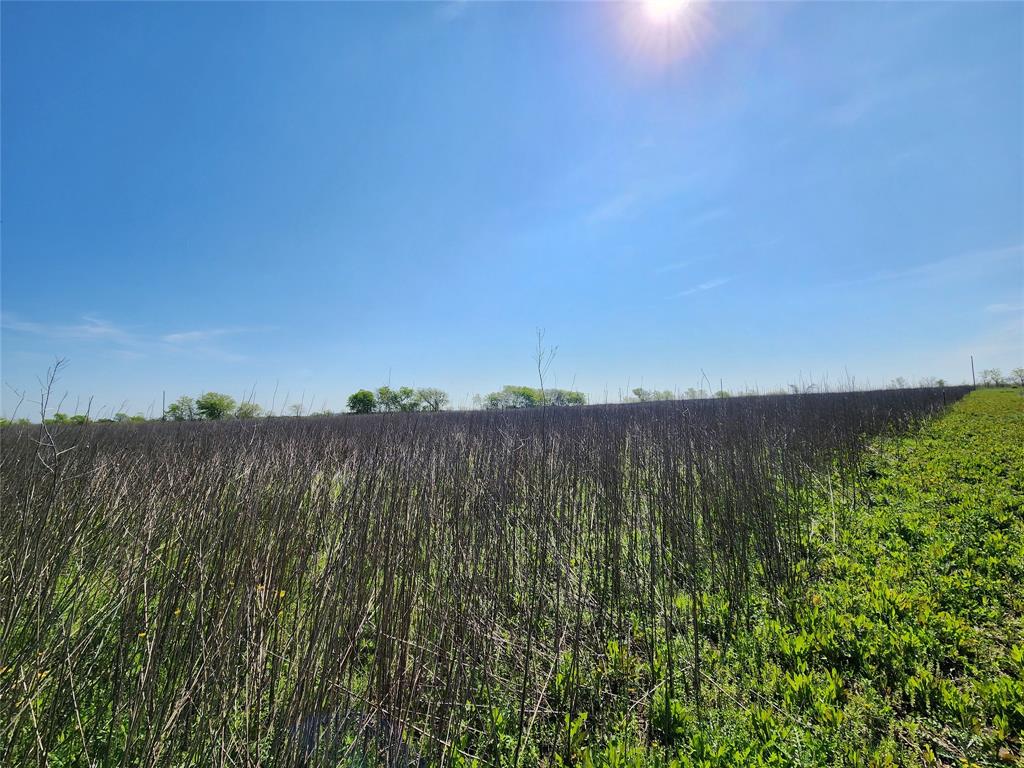 Tba Private Road 196 Property Photo 4