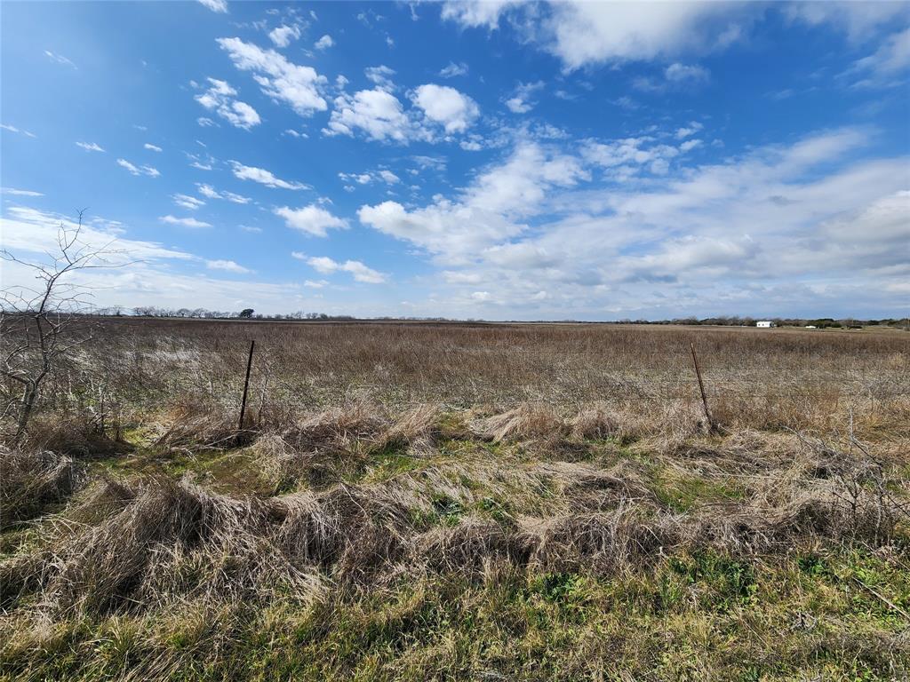 Tba Private Road 196 Property Photo 6